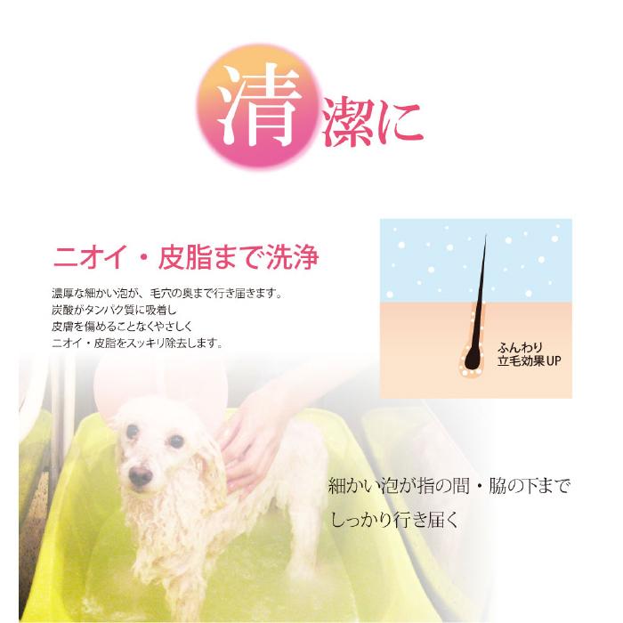 ゾイック 炭酸泉EX 6袋セット | 2包式のペット用炭酸入浴剤で血行を促進 | ZOIC | 04