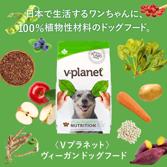 【6月初旬以降入荷予定・入荷次第発送】Vプラネット 中・大型犬用 大粒 6.8kg | 完全植物性のヴィーガンドッグフードの画像