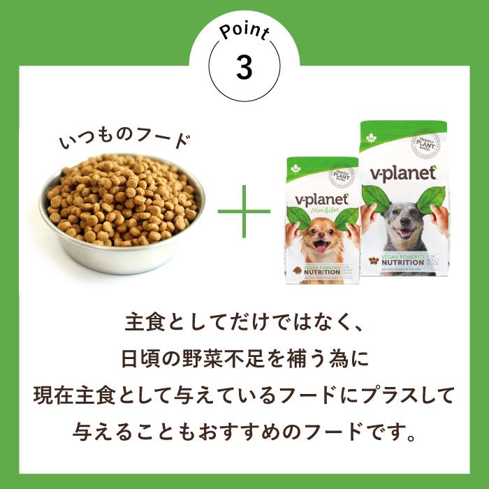 Vプラネット 小型犬用 小粒 2kg×2個 | 完全植物性のヴィーガン