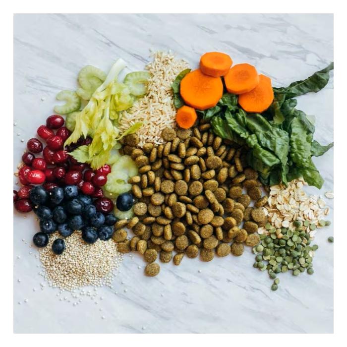 Vプラネット 小型犬用 小粒 2kg×2個 | 完全植物性のヴィーガン