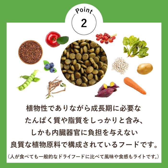 Vプラネット 小型犬用 小粒 2kg×2個 | 完全植物性のヴィーガン