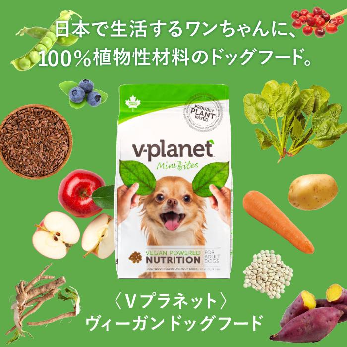 Vプラネット 小型犬用 小粒 2kg×4個 | 完全植物性のヴィーガン