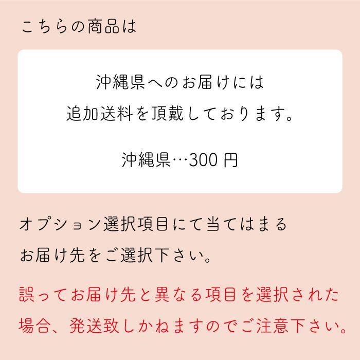 ゾイック Nシリーズ パピドールシャンプー 4000ml アプリケーター付 犬猫用｜kation｜05