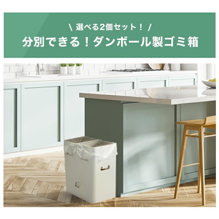 ゴミ袋が沈まない 分別ゴミ箱 2WAYダストボックス 2個 45L 45