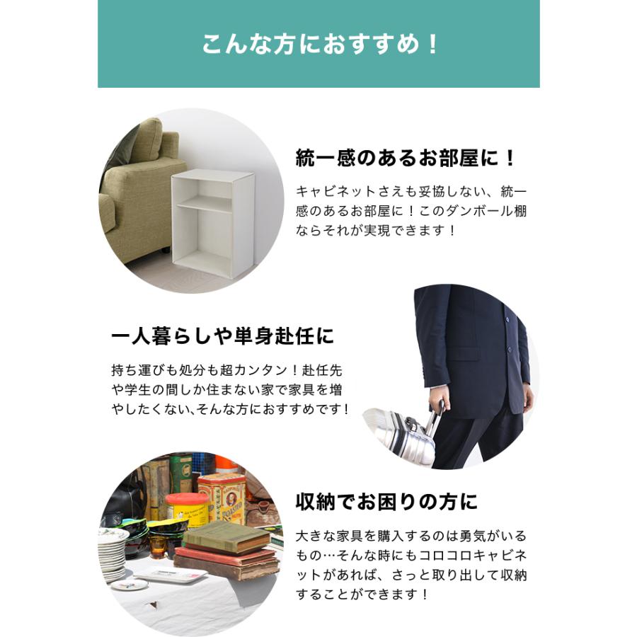 コロコロキャビネット オープンタイプ 2段 1個 カラーボックス 完成