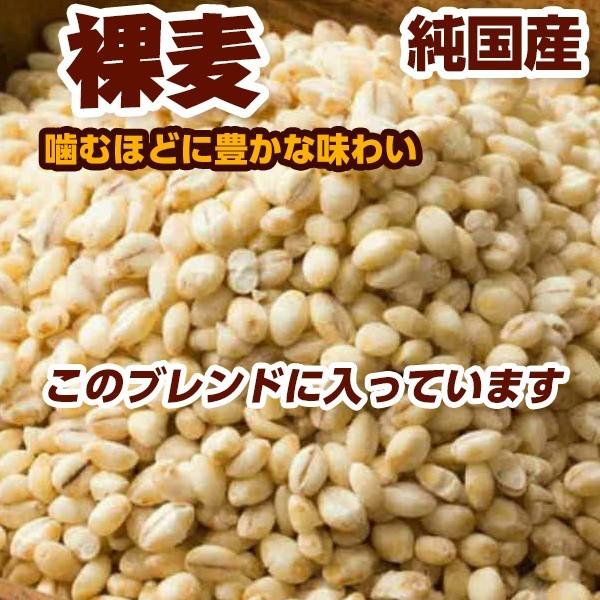 雑穀米ミックス 雑穀米 国産 麦５種ブレンド 900g(450g×2袋) [丸麦/押麦/はだか麦/もち麦/はと麦] 無添加 無着色 送料無料 ポスト投函 ダイエット食品｜katochanhonpo｜04