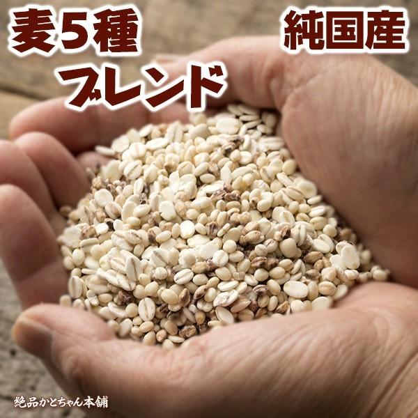 雑穀米ミックス 雑穀米 国産 麦５種ブレンド 900g(450g×2袋) [丸麦/押麦/はだか麦/もち麦/はと麦] 無添加 無着色 送料無料 ポスト投函 ダイエット食品｜katochanhonpo｜07