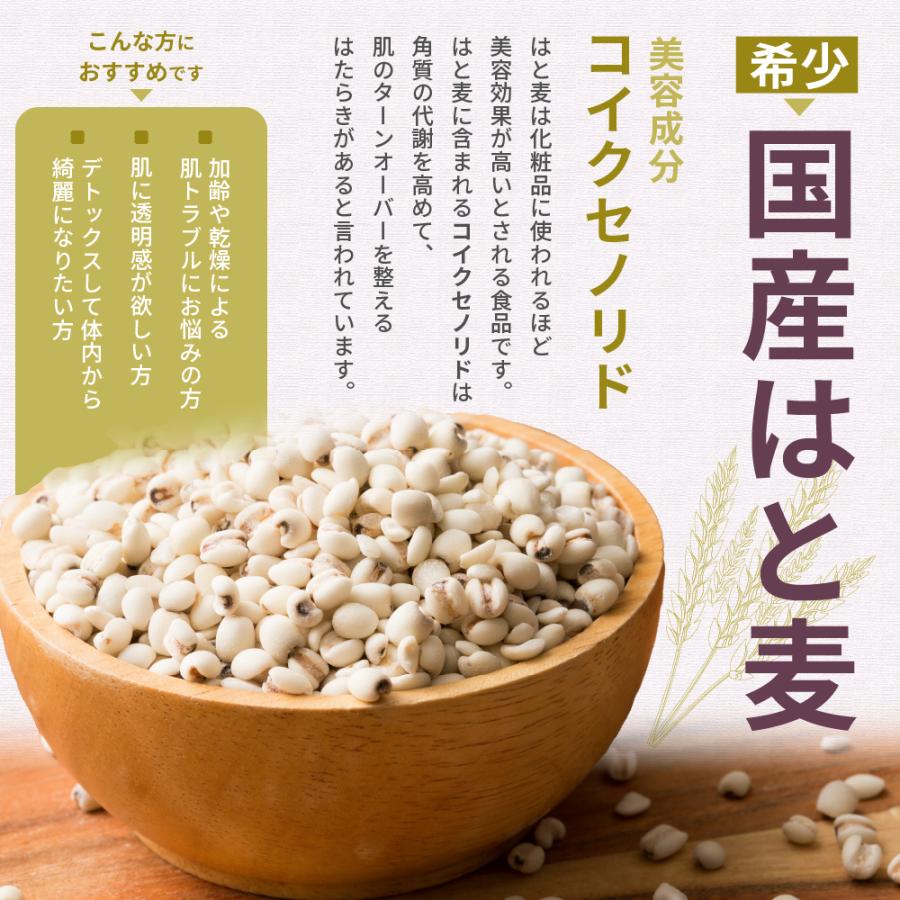 雑穀米本舗 雑穀 雑穀米 国産 麦5種ブレンド 4.5kg(450g×10袋 雑穀米本舗 雑穀 雑穀米 国産 麦5種ブレンド 4.5kg(450g×10袋