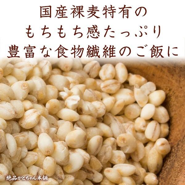 雑穀 雑穀米 国産 はだか麦 4.5kg(450g×10袋) 厳選 裸麦 六条大麦 送料無料 ダイエット食品 置き換えダイエット 雑穀米本舗｜katochanhonpo｜02