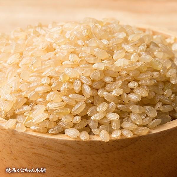 雑穀 雑穀米 国産 ダイエット食品 発芽玄米 送料無料 1kg(500g×2袋) 置き換えダイエット 雑穀米本舗 ＼セール／ 米、ごはん 