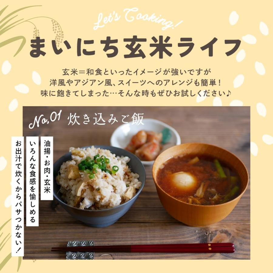 雑穀米本舗 雑穀玄米 雑穀 雑穀米 国産 発芽玄米 4.5kg(450g×10 雑穀米本舗 雑穀玄米 雑穀 雑穀米 国産 発芽玄米 4.5kg(450g×10