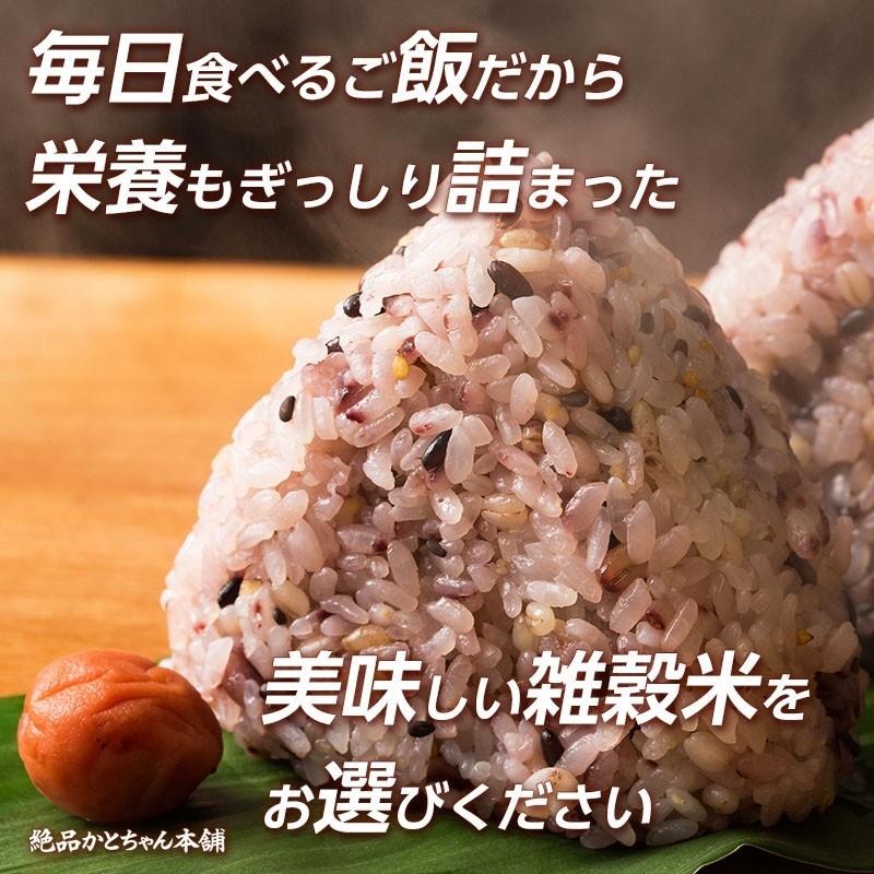 ★安心の国産雑穀米★３９穀米５００g ×２袋　明日への輝き