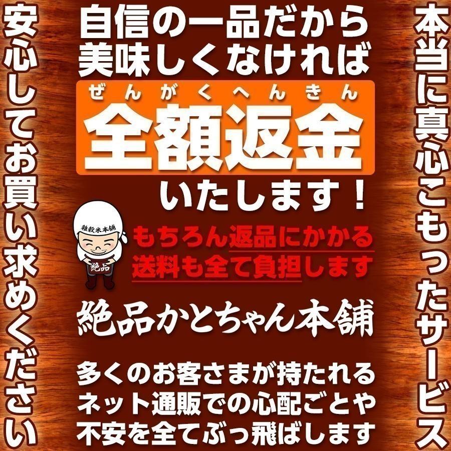 ななつぼし 10kg(5kg×2袋) 北海道 選べる 白米 無洗米 令和5年産 単一原料米｜katochanhonpo｜05