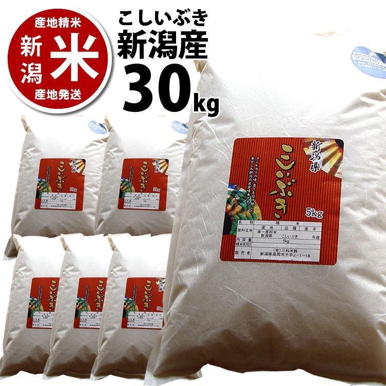 こしいぶき 【まとめ買い割引】こしいぶき 30kg 新潟産 新潟米 こしいぶき 【まとめ買い割引】こしいぶき 30kg 新潟産 新潟米