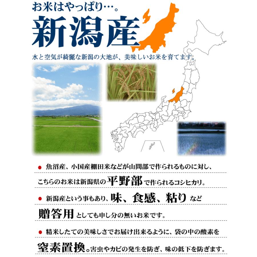 コシヒカリ 【まとめ買い割引】コシヒカリ 10kg 新潟産 新潟米 令和7
