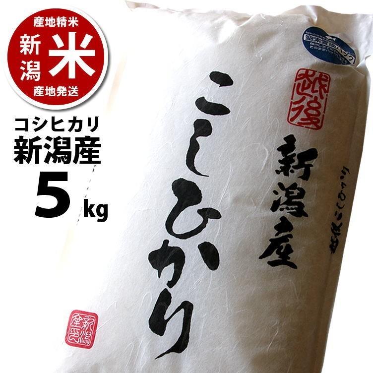 コシヒカリ 5kg 新潟産 新潟米  令和5年度産 産地直送 特産品 名物商品｜katoseika