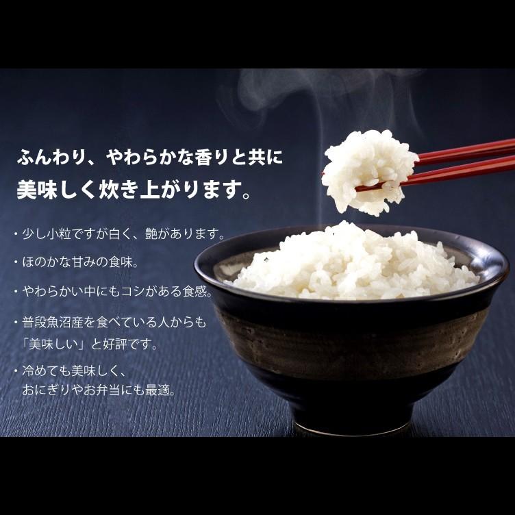 コシヒカリ 【まとめ買い割引】コシヒカリ 10kg 小国町産 棚田米 コシヒカリ 【まとめ買い割引】コシヒカリ 10kg 小国町産 棚田米