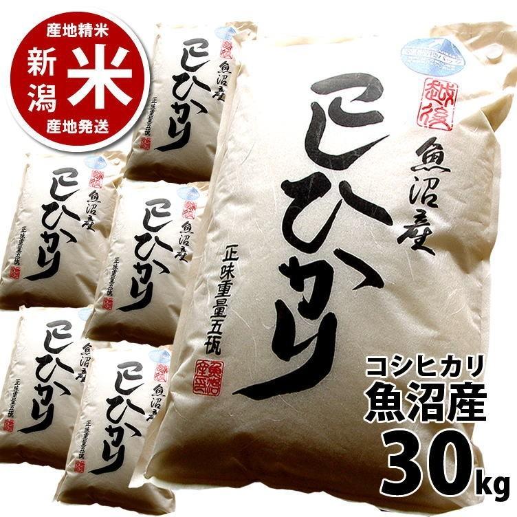 コシヒカリ 30kg 魚沼産 令和4年度産 新潟米 産地直送 特産品 5kg×6袋