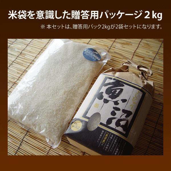 コシヒカリ 熨斗対応 お米 ギフト 魚沼産 4kg 内祝い 2kg×2袋 令和7