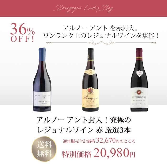 福袋 ワインセット ワイン ブルゴーニュ アルノー アント封入！究極の