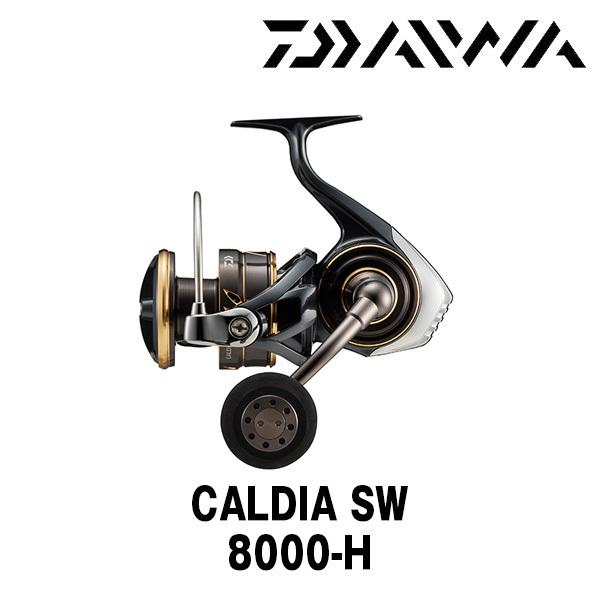 DAIWA（ダイワ） 22 カルディア SW 8000-H [CALDIA SW] 165764
