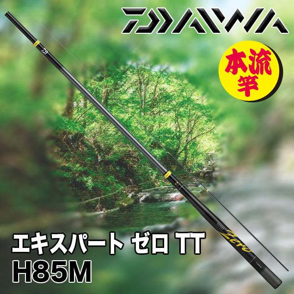 DAIWA（ダイワ） 渓流竿 2025NEW エキスパート ゼロ TT カスタム