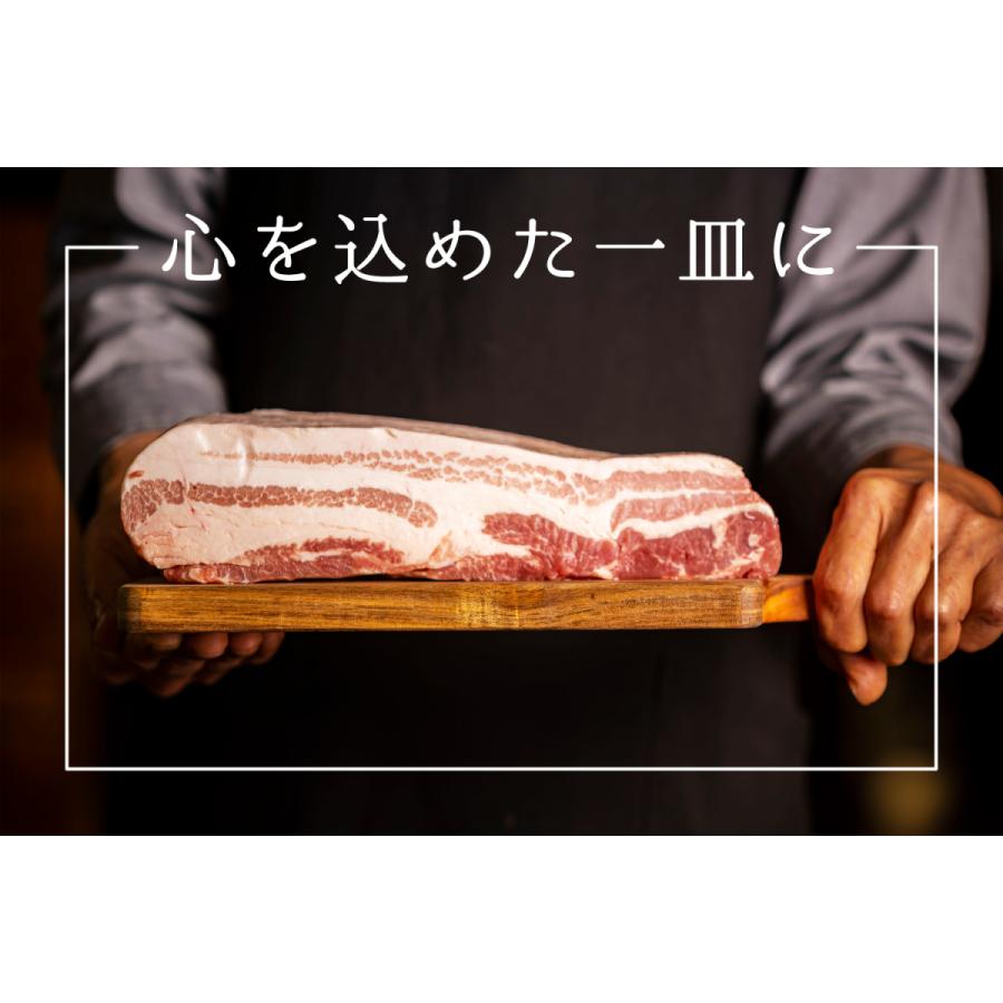 海外 かつみ工房yahoo 店レストランシャクナゲの絶品冷凍ポークカレーオリジナルポークカレー 0g ５食セット グルメ 冷凍カレー Adams Com Ec