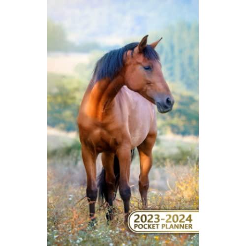 2023-2024-pocket-planner-2-year-schedule-agenda-with-notes-phone-book