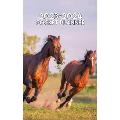 2023-2024-pocket-planner-2-year-schedule-agenda-with-notes-phone-book