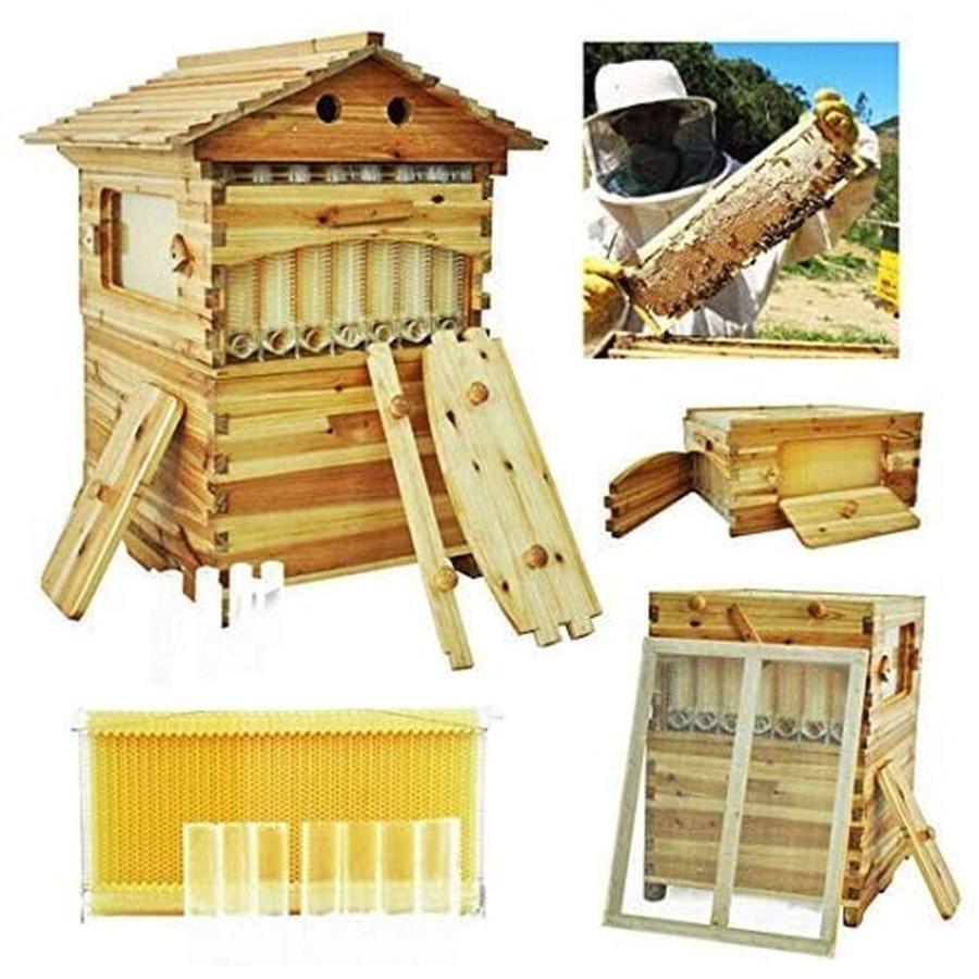 蜜蜂巣箱 ミツバチ巣箱 養蜂箱 巣箱 蜂箱 フローハイブ養蜂セット 蜜蜂飼育箱 蜂の巣 ミツバチ飼育箱 ミツバチ養殖 ミツバチの採蜜 巣礎 巣脾 自動ハチミツ採取 蜜蜂巣箱 ミツバチ巣箱 養蜂箱 巣箱 蜂箱 フローハイブ養蜂セット 蜜蜂飼育箱 蜂の巣 ミツバチ飼育箱 ミツバチ養殖 ミツバチの採蜜 巣礎 巣脾 自動ハチミツ採取