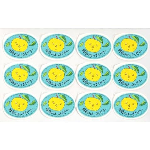 因島の はっさくゼリー 12個入り フルーツゼリー｜katuhara-ten｜03