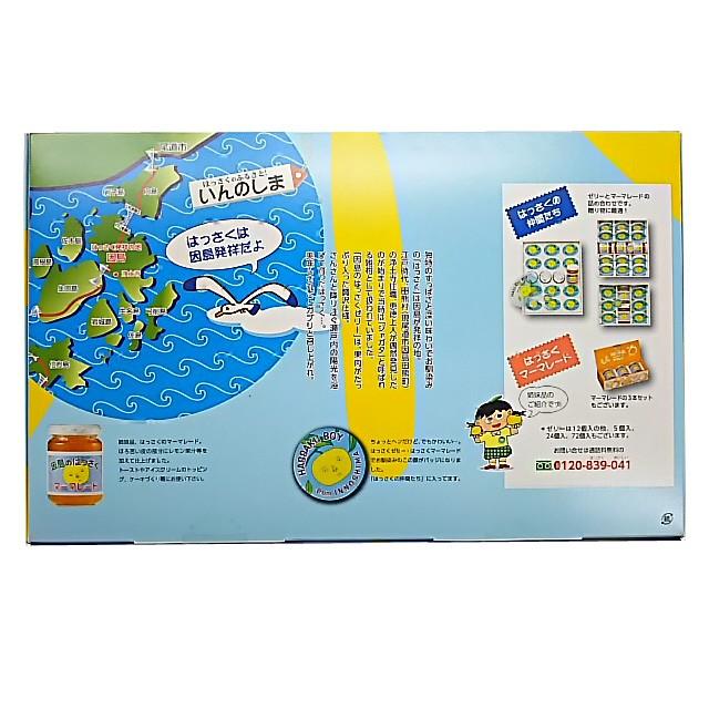 因島の はっさくゼリー 12個入り フルーツゼリー｜katuhara-ten｜04