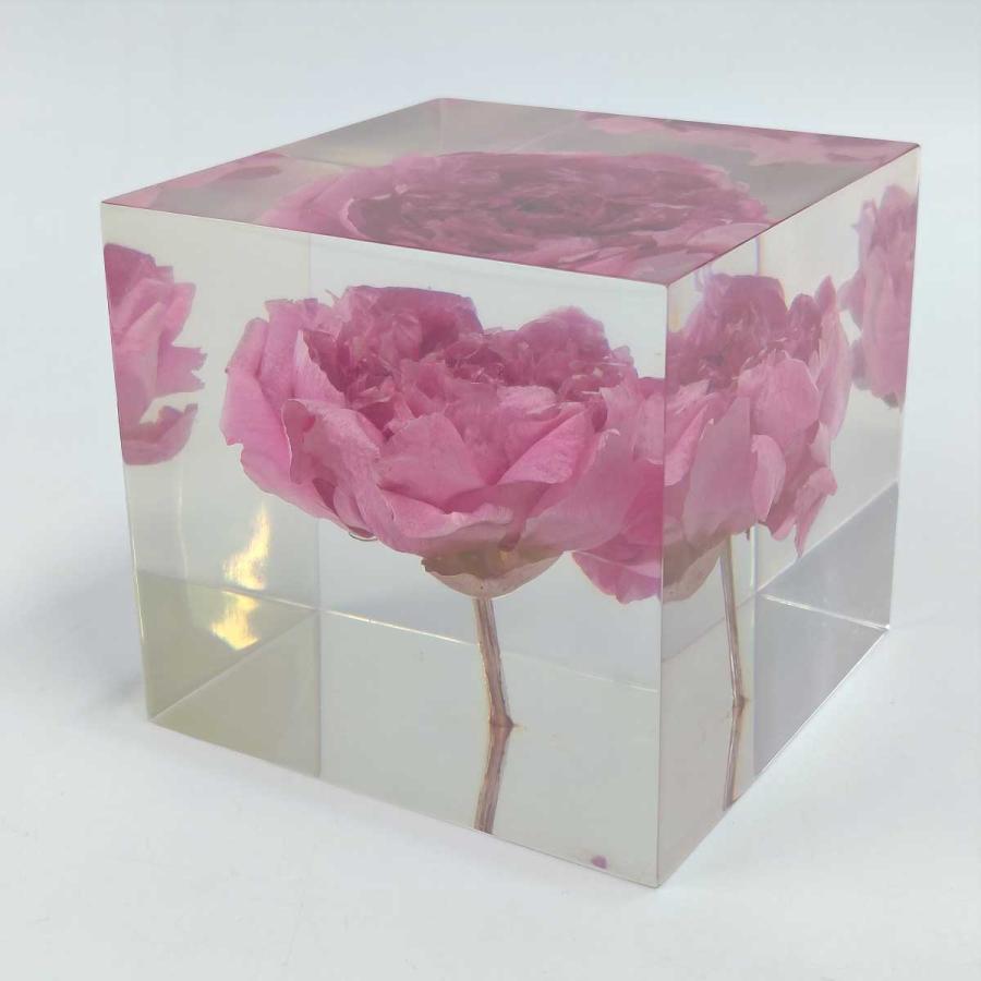 東信　フラワーアーティスト　ブロックフラワー 中古】東信 あずままこと ブロックフラワー Block Flowers シャクヤク