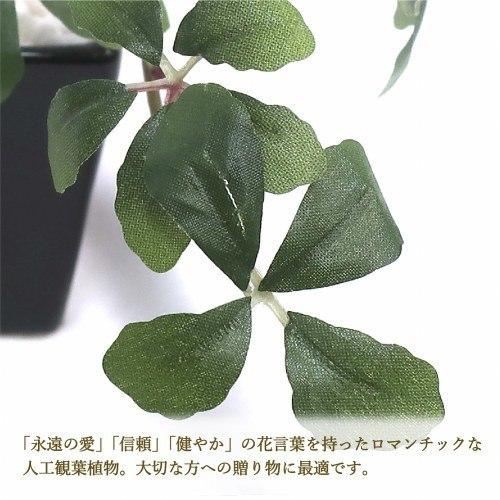 最新最全の 申込期間8月1日13時まで ササガワ 人工観葉植物シュガーバインｂｌｋｓサイズ 取寄商品 Riosmauricio Com