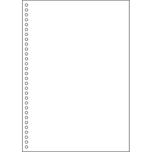 ヒサゴ マルチプリンタ帳票 ａ４ 白紙３０穴１００枚 カウモール 通販 Paypayモール