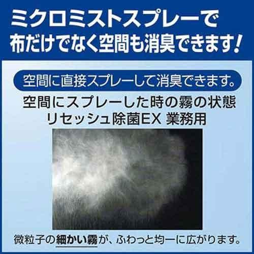 花王 リセッシュ除菌ＥＸ　業務用　１０Ｌ_4