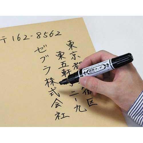 申込期間26年08月03日13時まで_ゼブラ 紙用マッキー 太字・細字 グレー