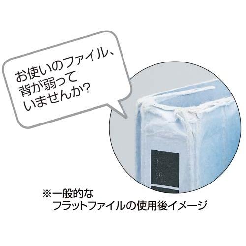919②1895年ドイツアンティーク洋書古書　ボタンニカル　ジャンクジャーナル 919②1895年ドイツアンティーク洋書古書 ボタンニカル ジャンク