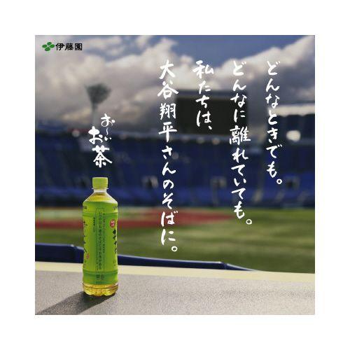 伊藤園 ホット用 おーいお茶緑茶 275ml 24本 : カウモール