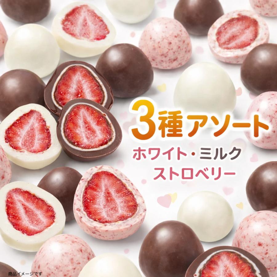 お試し8個入】いちご丸ごとチョコ 3種アソート フリーズドライ 苺