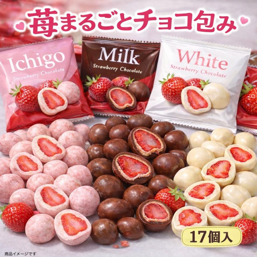 17個入】【3種アソート】いちご丸ごとチョコ フリーズドライ 苺