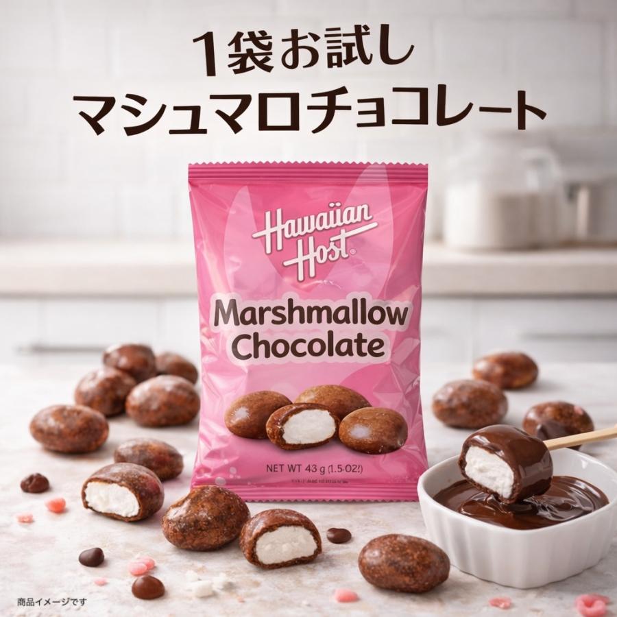 1000円ポッキリ 送料無料 チョコ スイーツ ハワイアンホースト