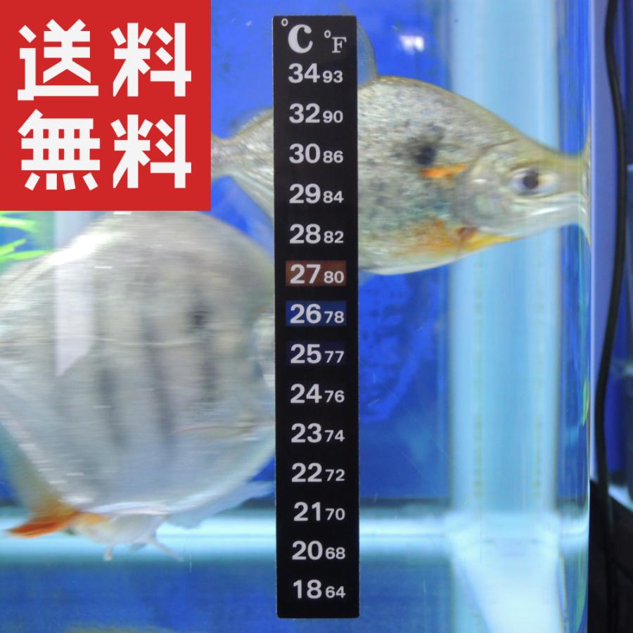シールタイプの温度計 (18-34℃ 3枚セット) 水槽温度計 サーモテープ