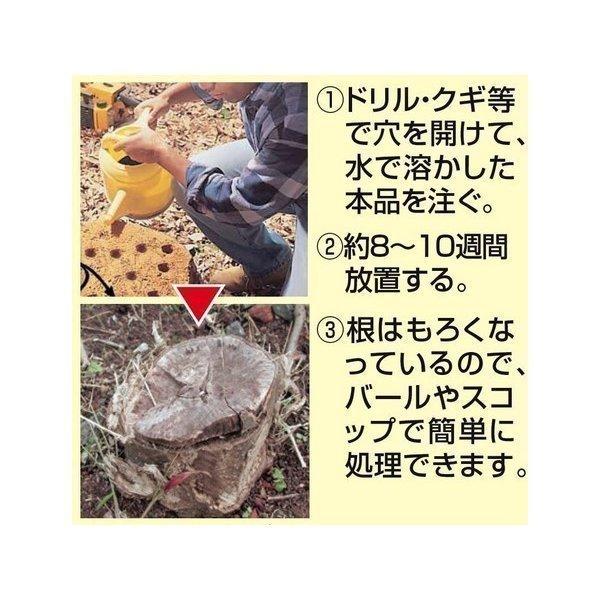 スタンプ アウト2個組 切り株処理剤 切り株除去剤 切り株分解 Kau カウオール 通販 Yahoo ショッピング