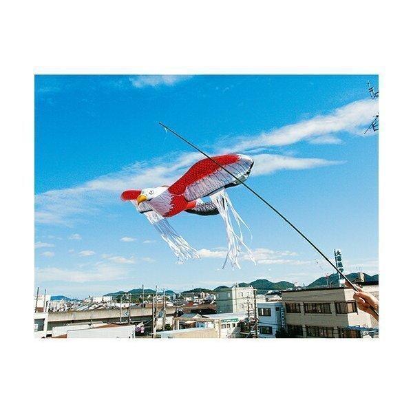 龍宝丸 鳥追い 暴れん坊タカ K-901 風船タイプ 防獣 鳥よけ 鳥 龍宝丸 鳥追い 暴れん坊タカ K-901 風船タイプ 防獣 鳥よけ 鳥