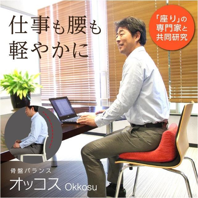 プレゼント付き 骨盤バランス オッコス 腰痛 クッション オフィス 椅子 サポート 持ち運び 座椅子 骨盤矯正 グッズ 健康器具 床 デスクワーク イス Okkosu カウリドロップ 通販 Yahoo ショッピング
