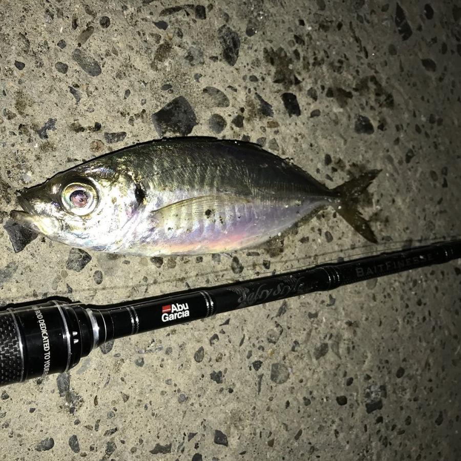 アブガルシア Abu Garcia ソルトウォーターベイトフィネス ロッド ベイト ソルティースタイル ベイトフィネス Stbc 792l カーヴィテンス 通販 Yahoo ショッピング