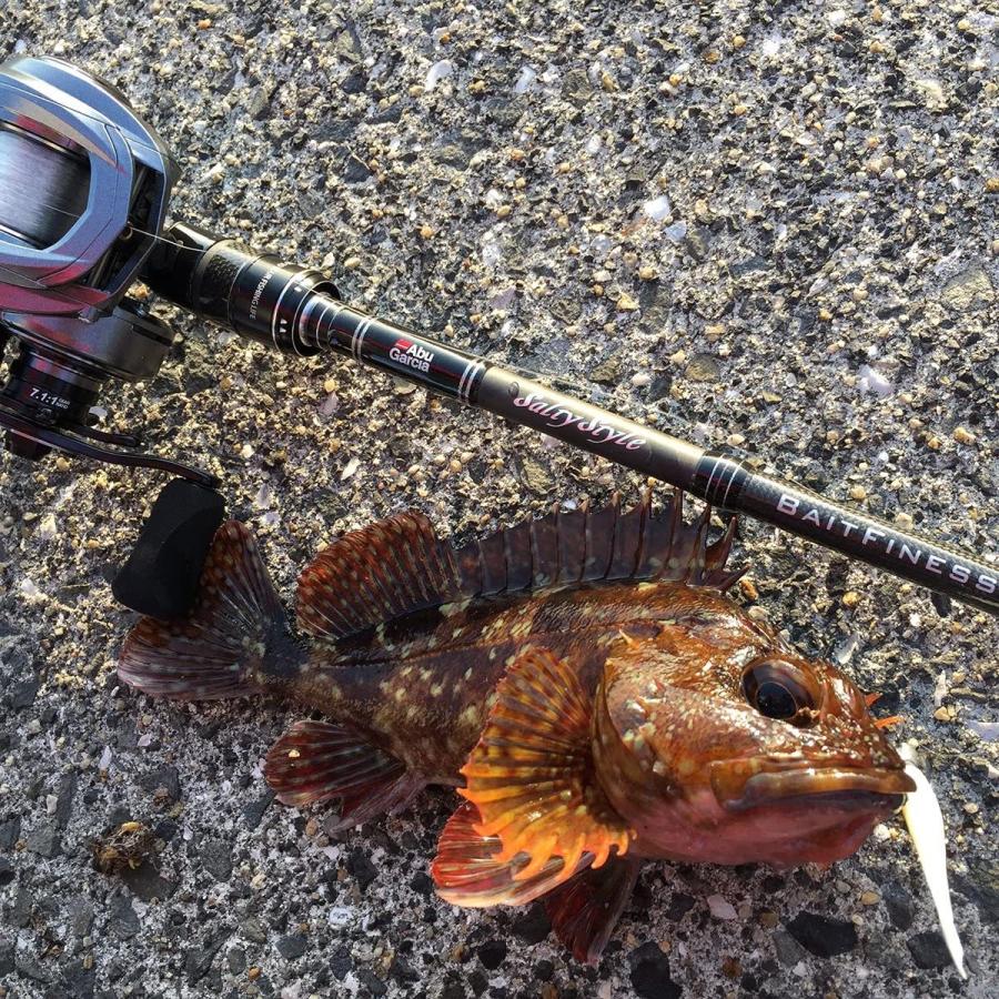人気が高い アブガルシア Abu Garcia ソルトウォーターベイトフィネス ロッド ベイト ソルティースタイル ベイトフィネス Stbc 792l 保存版 Zoetalentsolutions Com