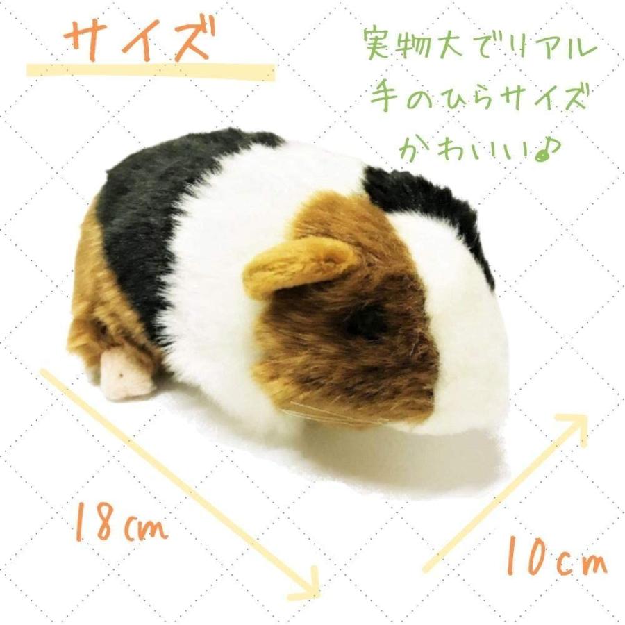 Shantrip かわいい モルモット ぬいぐるみ 天竺鼠 テンジクネズミ ふわふわ 人形 ギフト 贈り物 ブラック カーヴィテンス 通販 Yahoo ショッピング