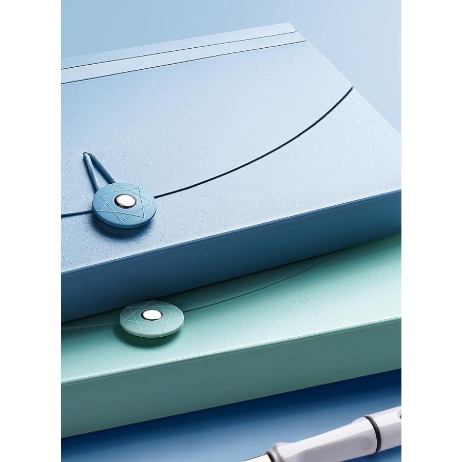 ドキュメントファイル ファイルケース 書類ケース B6 13ポケット